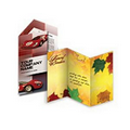 Sell Sheet Flyer/ Brochures w/ Gloss Coating 2 Sided 4/4 (9"x12")